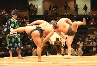 Sumo