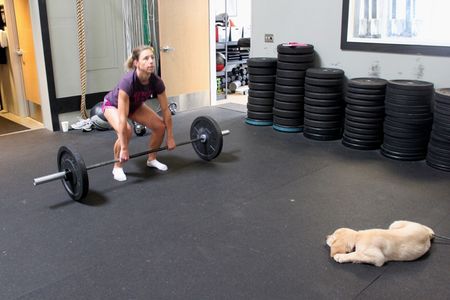 Canine Coach