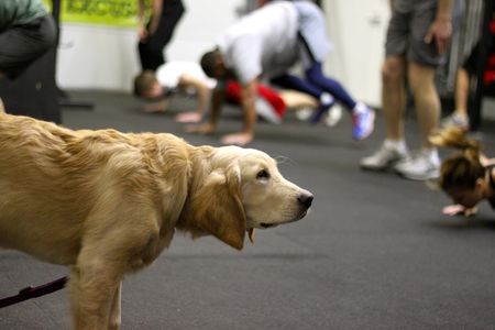 Zoe counting reps