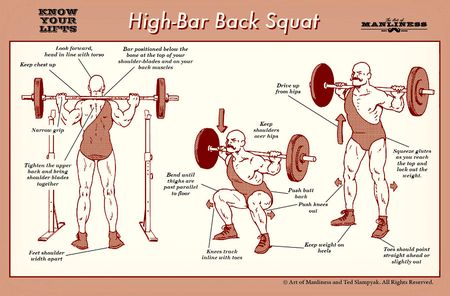 Highbarbacksquat_aom