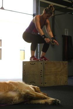 Box Jump_Rona