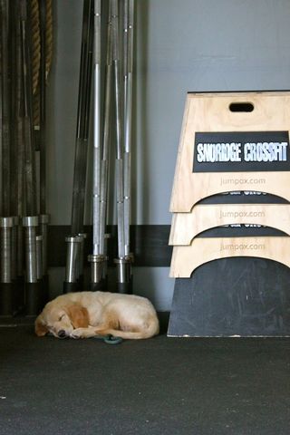 Zoe Resting Zoe Resting