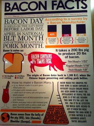 Bacon Facts