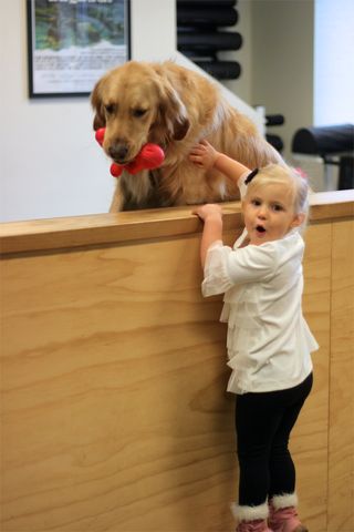 Busted Busted